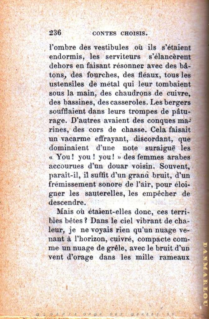 les sauterelles 06.jpg - LEAD Technologies Inc. V1.01